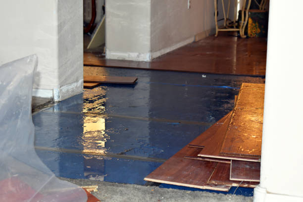 Professional Basement Flood Cleanup technician working in Seymour, MO